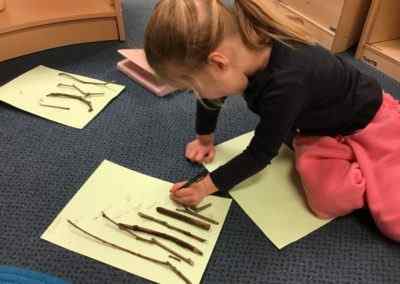 Making a stick family, exploring length